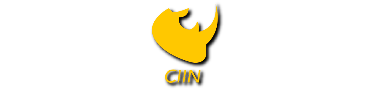 CIIN - Compañía de Infraestructura e Inversiones Nacionales